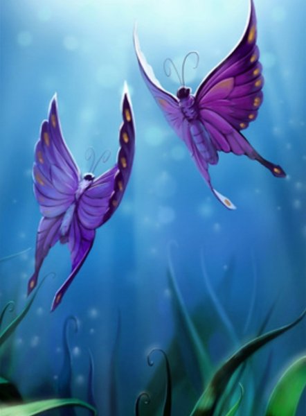 Волшебная Лунная бабочка