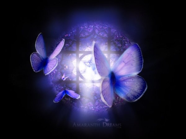 Волшебные бабочки