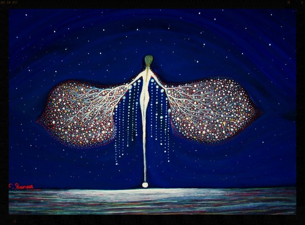 Бабочки звезды