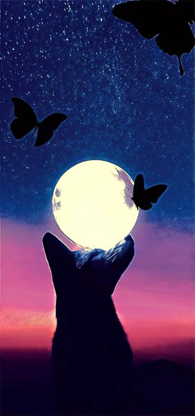 Бабочки ночью