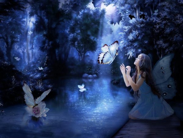 Фея с крыльями бабочки