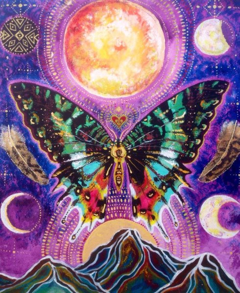 Бабочка психоделика