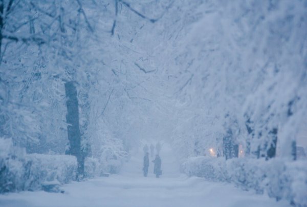 Замело снегом