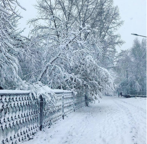Замело дорогу снегом