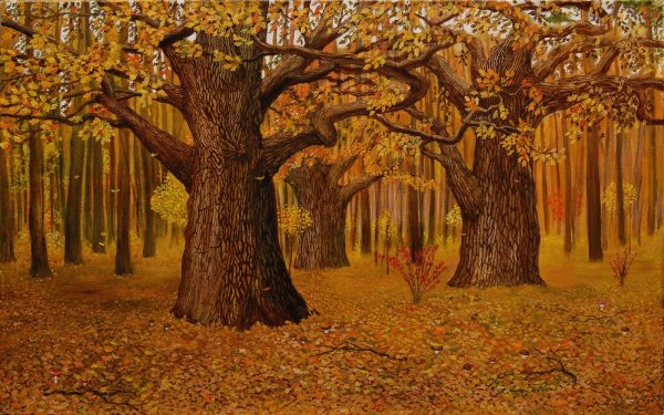 Осенний лес для детей