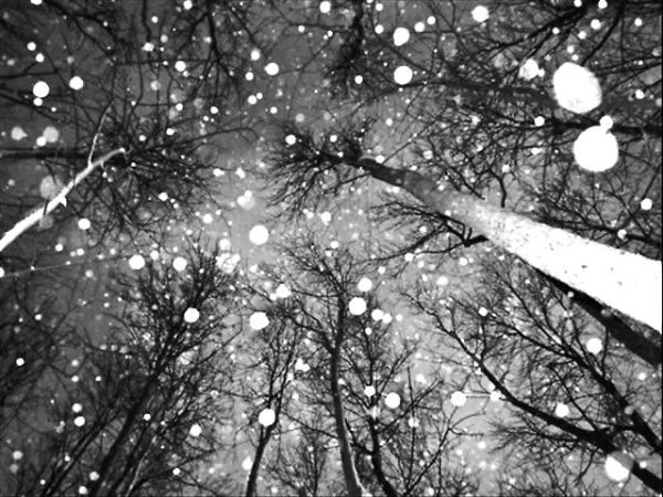 Снег падает сверху