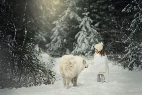 Душевные зимние картинки