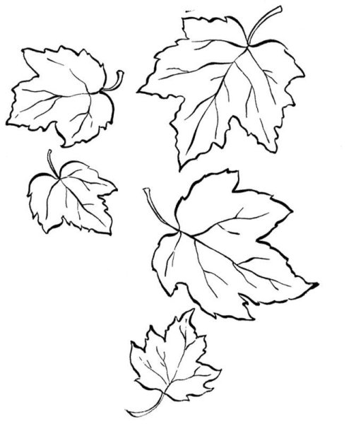 Виноградный лист трафарет