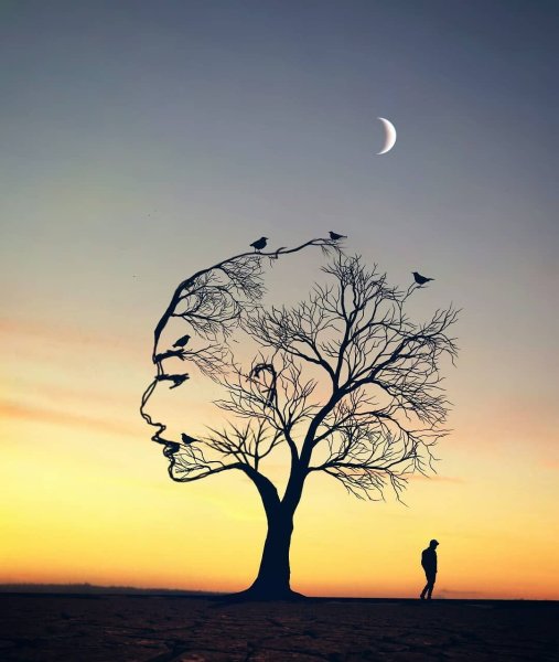 Луна и дерево