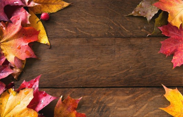 Осенние листья фон