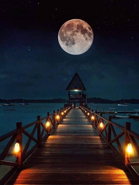 Красивая ночь