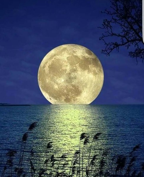 Полнолуние в тропиках