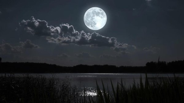 Ночь Луна