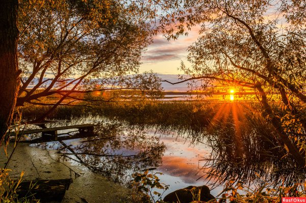 Тихий вечер осенью