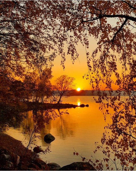 Осень вечер