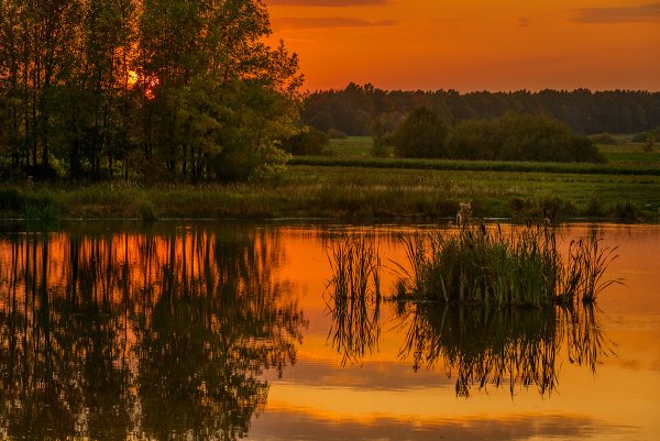 Осень река закат