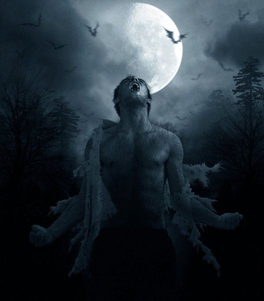 Оборотень воет на луну
