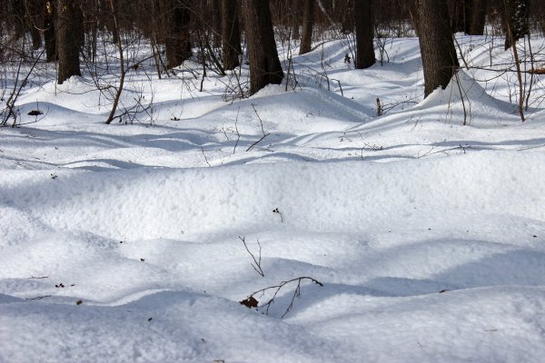 Талый сугробы