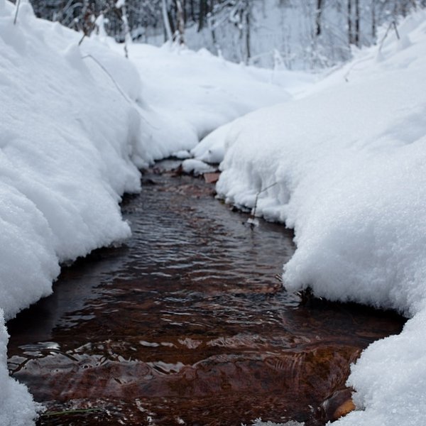 Ручей зимой