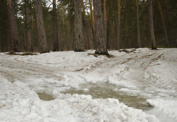 Стежка Талая в природе