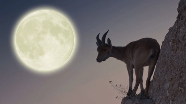 Луна в Козероге