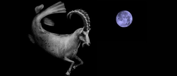 Лунный Козерог