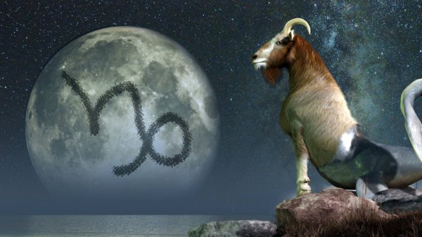 Луна в Козероге