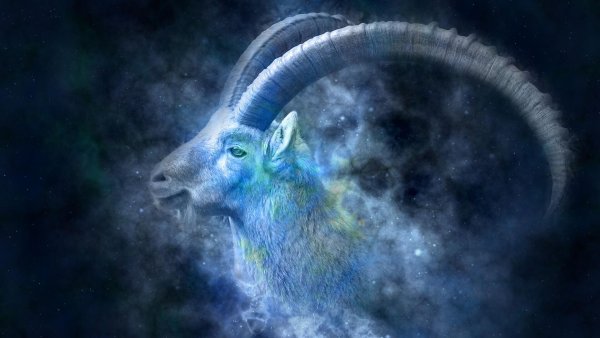 Знаки зодиака. Козерог