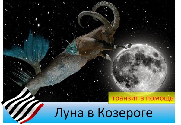 Козерог майнкрафт