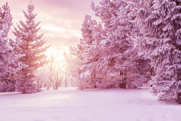 Снег в розовых тонах