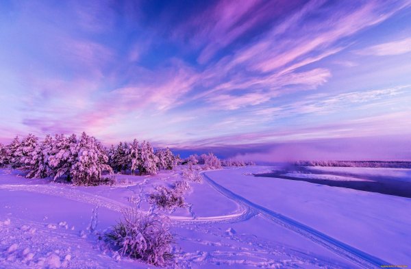 Зима в сиреневых тонах