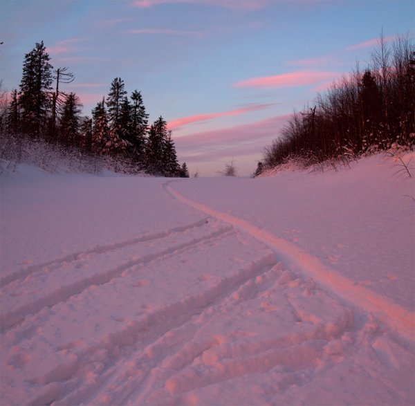 Розовый снег в Хибинах
