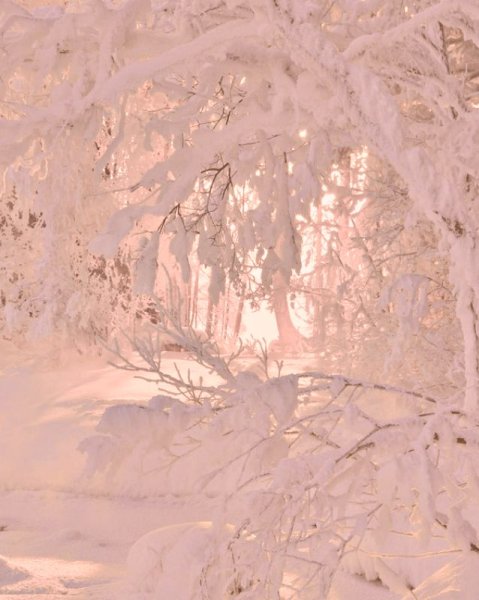 Зима Эстетика