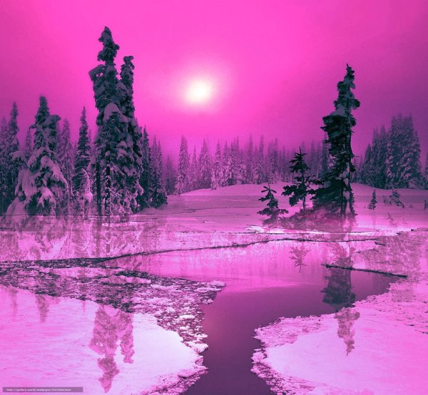 Розовая зима