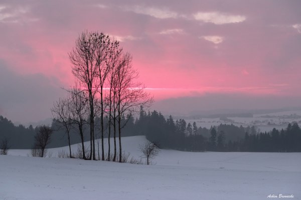 Зимний рассвет