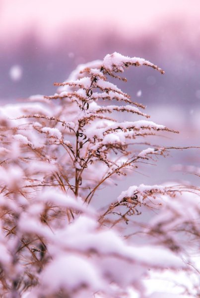 Зима Эстетика