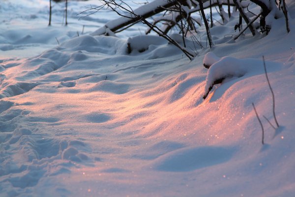 Розовый снег