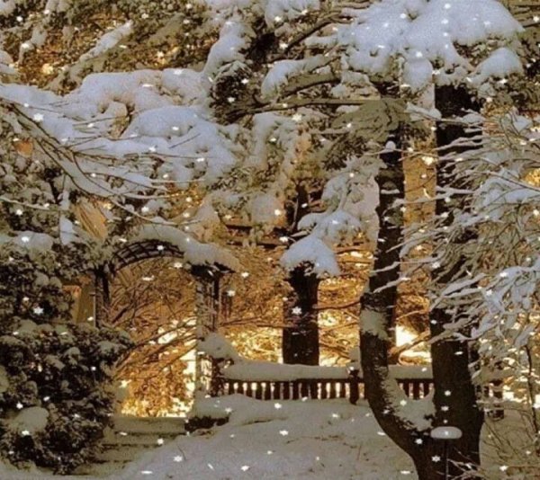 Золотая зима