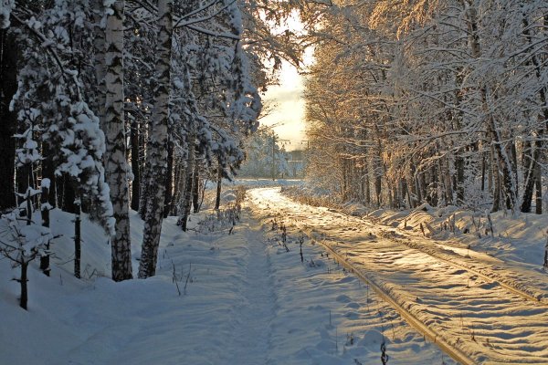 Картинка золотой снег