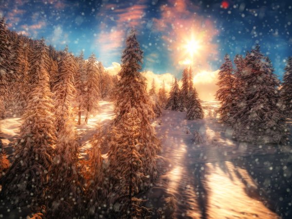 Волшебный зимний лес солнце