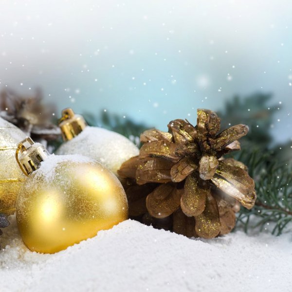 С наступающимовым годом