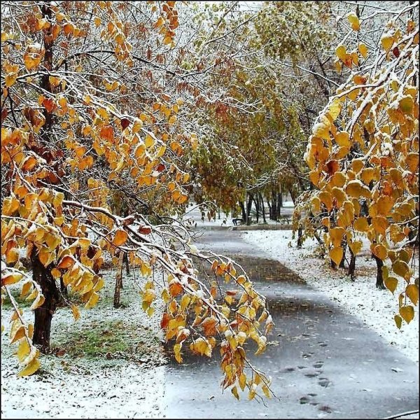 Поздняя осень