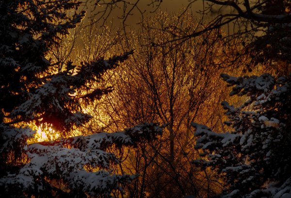 Зима. К вечеру