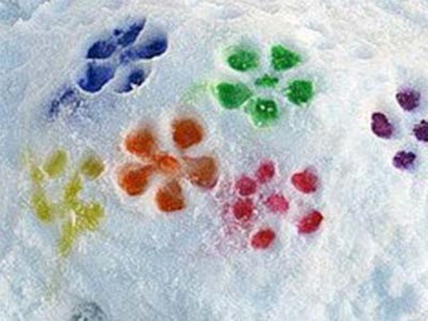 Рисование красками на снегу