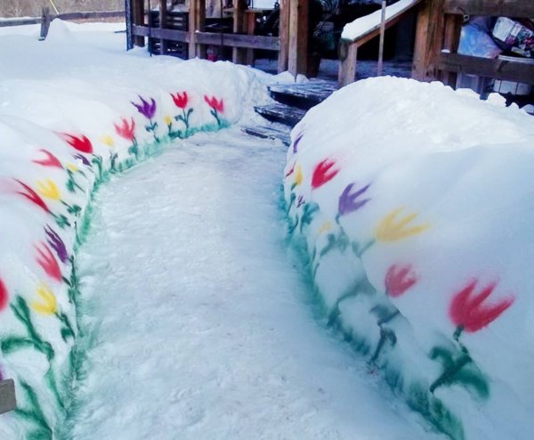 Краски на снегу