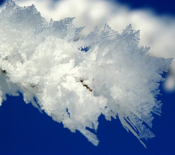 Снежные Кристаллы