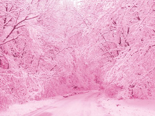Зима в розовых тонах
