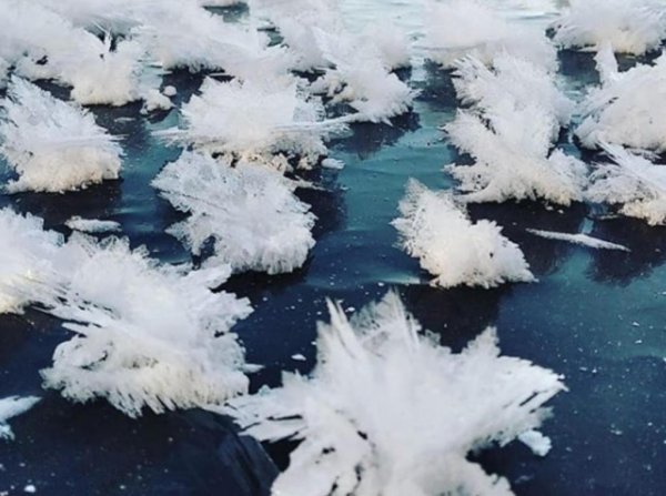 Ледяные цветы на Раифском озере