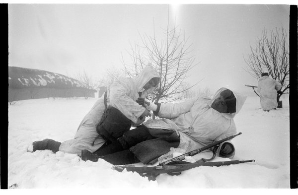 Великая Отечественная зима