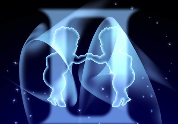 Астрологические Близнецы